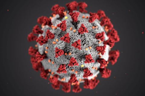 Corona virus RTCC blog
